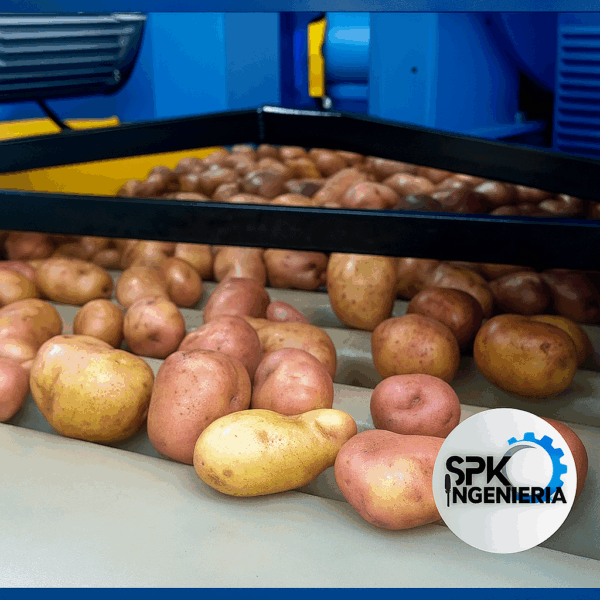 TREN DE CEPILLOS LIMPIA OJOS PARA PAPA