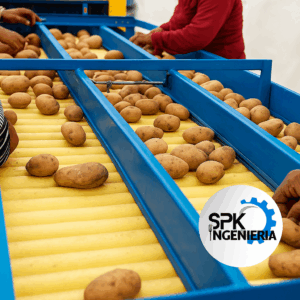 SELECCIONADORA DE PAPA POR DAÑO